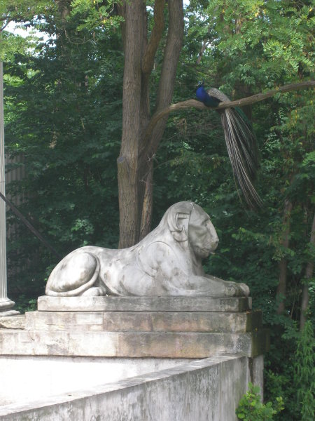 mazowsze08