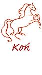 Charakter urodzonych pod chiskim znakiem Konia