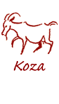 Charakter urodzonych pod chiskim znakiem Kozy