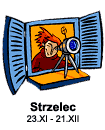 Strzelec - horoskop roczny