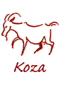 Chiski horoskop roczny na rok 2025 dla Kozy